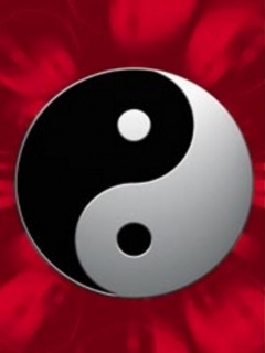 Friends forever... - can friends be like ying and yang....attached together