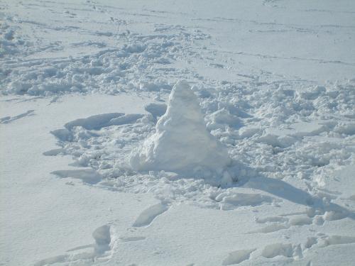 Attempted snow man - LOL! You can tell I'm a Texan, apparently I never got the 'building snowman' lesson!!! I gave up after 30 min or so!