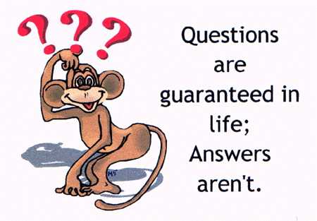 question - question and answer