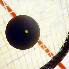 Squash - Squash ball and racquet