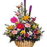 Birthday or Anniversary Flowers - to be given to anybody
