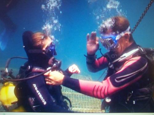 diving - my daughter diving on her 11th birthday