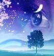 Dreams - The most beautiful thing in human life.