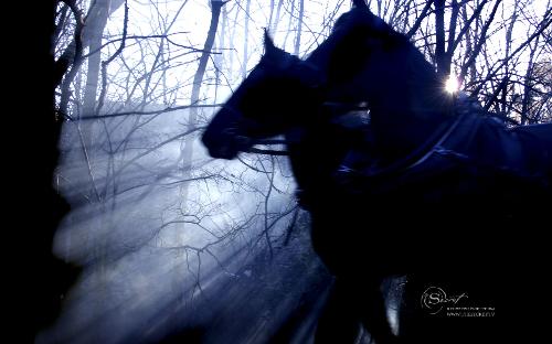 Running with the horses. - I don't know why but I always hear people say, 'run with the horses.'