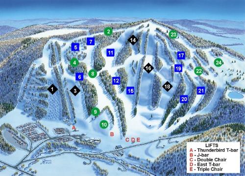 Skiing - A ski resort.