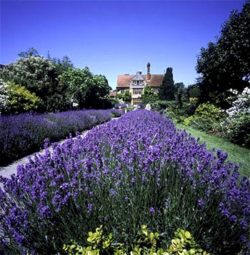 Provence - I eager to go to Provence