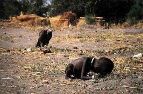 Sudanese child - An emaciated Sudanese child crawling towards a United Nations Food camp located a kilometer away, while a vulture sits behind, seemingly waiting for the child to die so he could finally devour her remains.