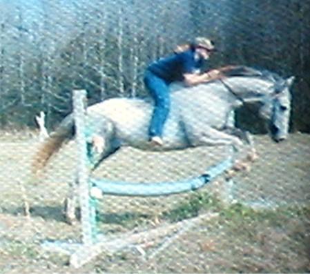 Beth nd Max - Here is a photo of my daughter, Beth and one of our retired racehorses. This was Max's first time to jump.