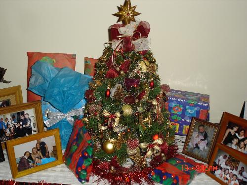 Small Christmas Tree - Small decorative Christmas tree, we have this tree since 2003 and we still have it until now. It really help ua to have christmas atmosfer. Because in our country is impossible to have a real pine tree.