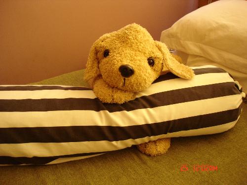 My puppy - This is my puppy. Was given to me as Christmas present in 2006