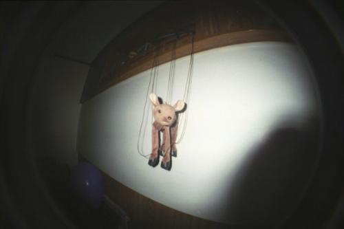 fisheye deer - A deer puppet that I took a picture of with my Lomography Fisheye camera.