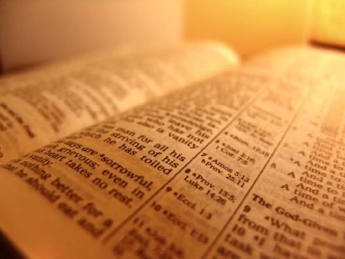 Bible- Read it for your life - Bible is the - Best Selling Book Most Read Book First Printed Book Smallest Book Largest Book