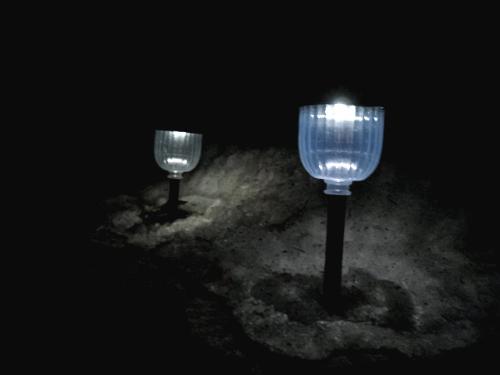 Solar Lights - I have a few of these in my front yard.