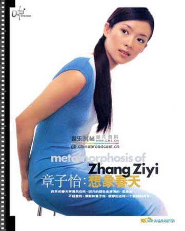 ziyi zhang - famous in international