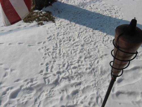 Tons Of Tracks - Definitely Rabbit Tracks