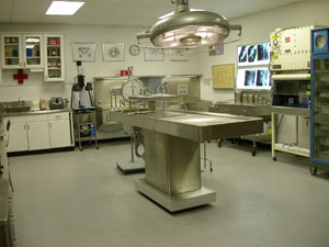 Autopsy Time... - Autopsy Time... Autopsy Time... - Autopsy Time...