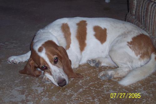 Annabelle - This is my girl.