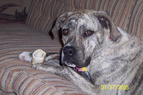 Jack - This is my boy.