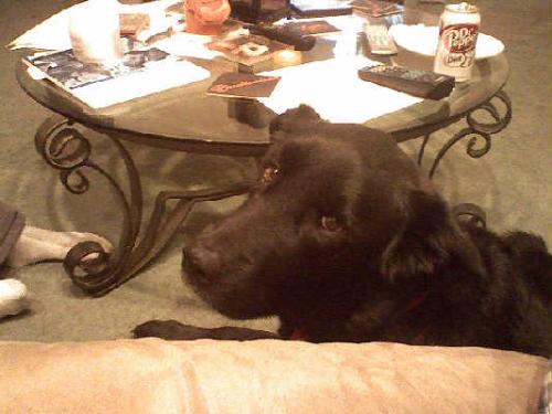 Kilo - my baby