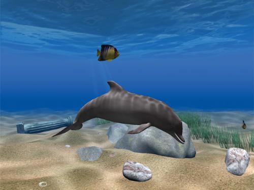 dolphins are really pretty!!! - this is a picture of a dolphin that i've found and thought it was really pretty!!