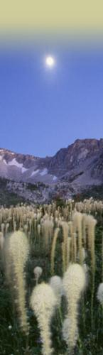 Yellowstone wildland - Protect Yellowstone and the Greater Rockies

Tell the Bush administration to protect sensitive wildlands in Colorado, Wyoming and Utah for future generations and promote cleaner sources of energy instead.