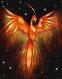 Like a phoenix, arise and shine! - Things happen for a reason. And life's circumstances are not within our control but we can control our own choices.