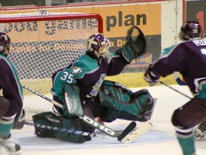 Hockey Goal! - Reach that goal! You can do it!