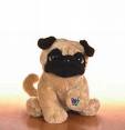 A Webkinz Pug - Isn't she cute?