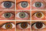 Imagine two eye colors - One brown and one blue. I met a guy in Texas that had just that!!
