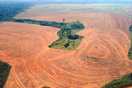 Clearing of Amazon Rainforest - This area cleared by soybean farmers in Novo Progreso was photographed last year. Brazilian Government figures show that the rate of clearing has increased.