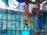 sea world - This is the comedian at the Viva show. He kept us laughing the whole time. All the other divers did amazing high dives. This guy did amazingly funny jumps and dives. This picture shows him running. He did one jump where he looked like a fish swimming through the air.
