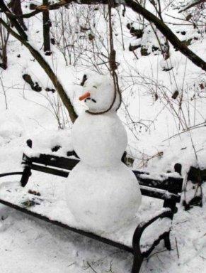 It's been a rough winter.... - This was taken by a friend at our local town park.