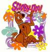 scoob - scooby