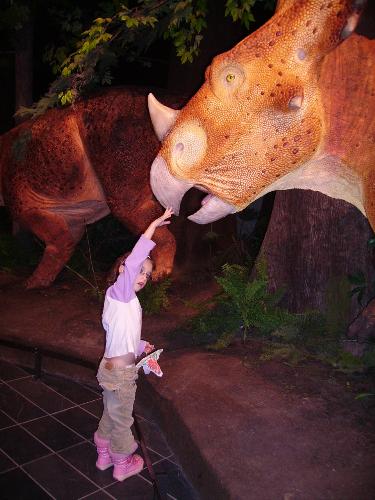 nature ,museum - my daughter at the nature museum looking at the dinasaurs