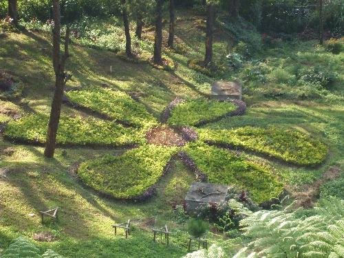 Opinions are unique to each one. - Let the person rock what he/she thinks. Like a forest of ideas, opinions of each one matters.