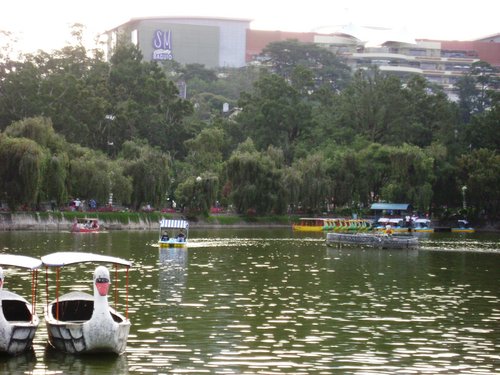 A view from Burnham lake. - A view to SM from burnham lake.