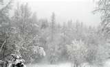 Snow storm? - No thank you!! I will not live where it snows like this ever again!