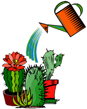 Watering flowers - What time is best for watering the flowers? During the day or during the night?