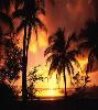Life is a beach! - Life truly is a glance at the ocean and sitting on the beach.