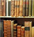 Bookcase - a shelf of old books