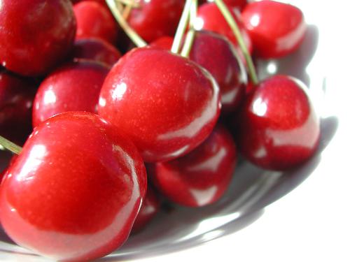 Cherries - Bunch of Cherries with water drips on.