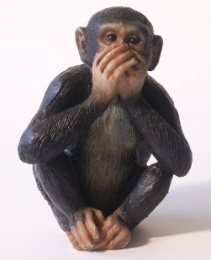 Speak No Evil - It is a picture of a monkey performing the famous "Speak no evil" pose.