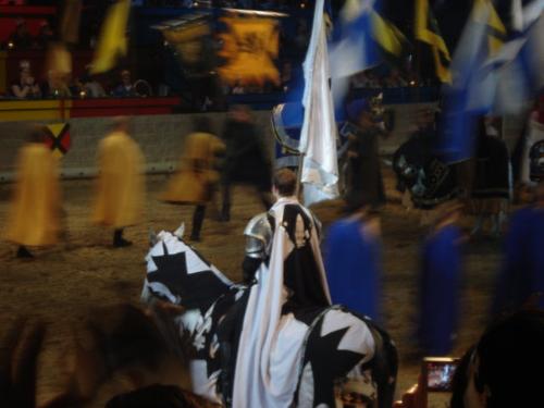 Medieval Times  - We went to Medieval Times and had a great time there!