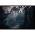 haunted house - Haunted House