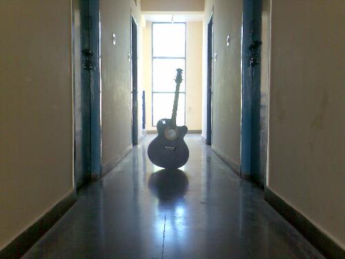 Guitar stands out - A guitar, although the most common musical instrument, is also the most attractive of all.