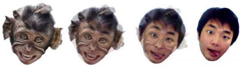 Evolution Monkey - I editted this picture by myself and thinking to put it in my blog and share the tricks how to do it. What do you think?