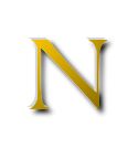 n - The capital letter N from alphabet.