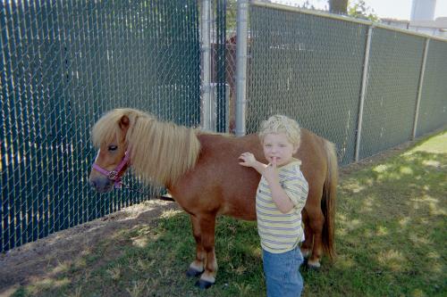 my boy and a horse - its a mini pony!