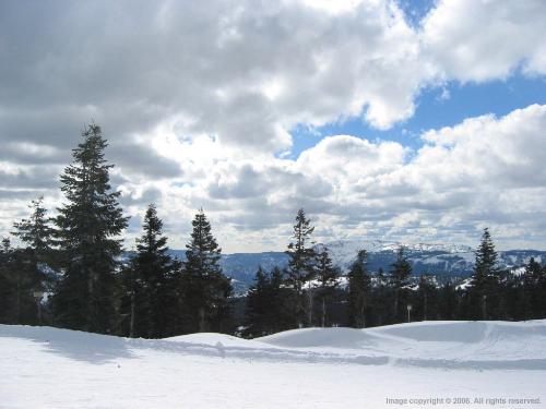 winter - This is a picture of the winter season. Look at all the pretty snow! If only I could stop getting sick.