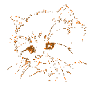 bronze Glitter Cat - bronze glitter cat gif